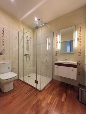 Shower, jetted bath, hair dryer, towels