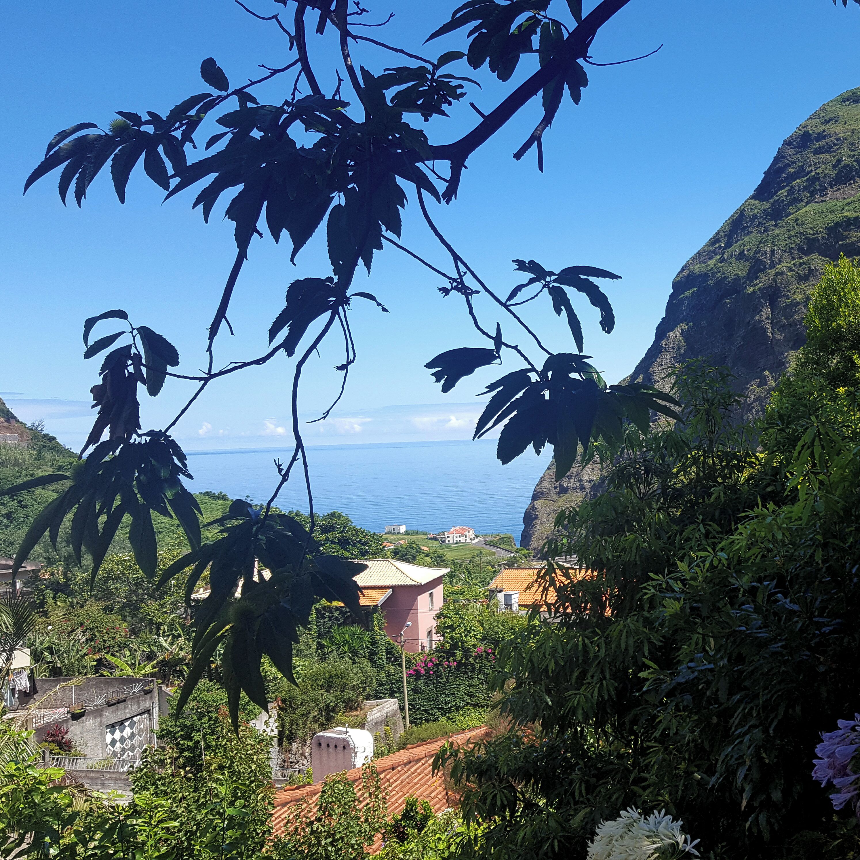 Área da propriedade