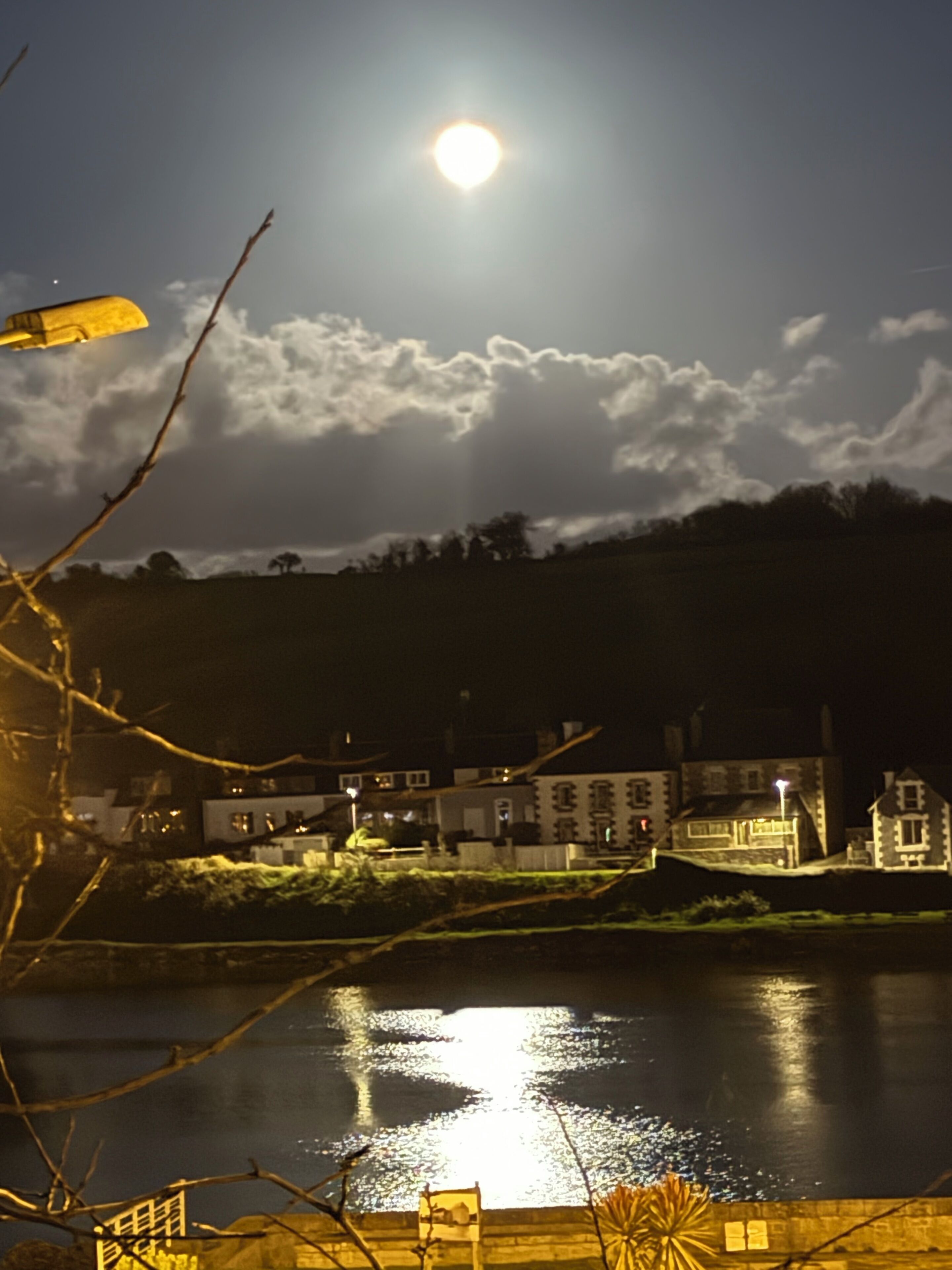 A nighttime view of a lakeside area with buildings in the background and a bright moon in the sky.