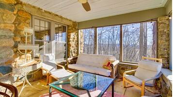 TV connectée, cheminée, livres