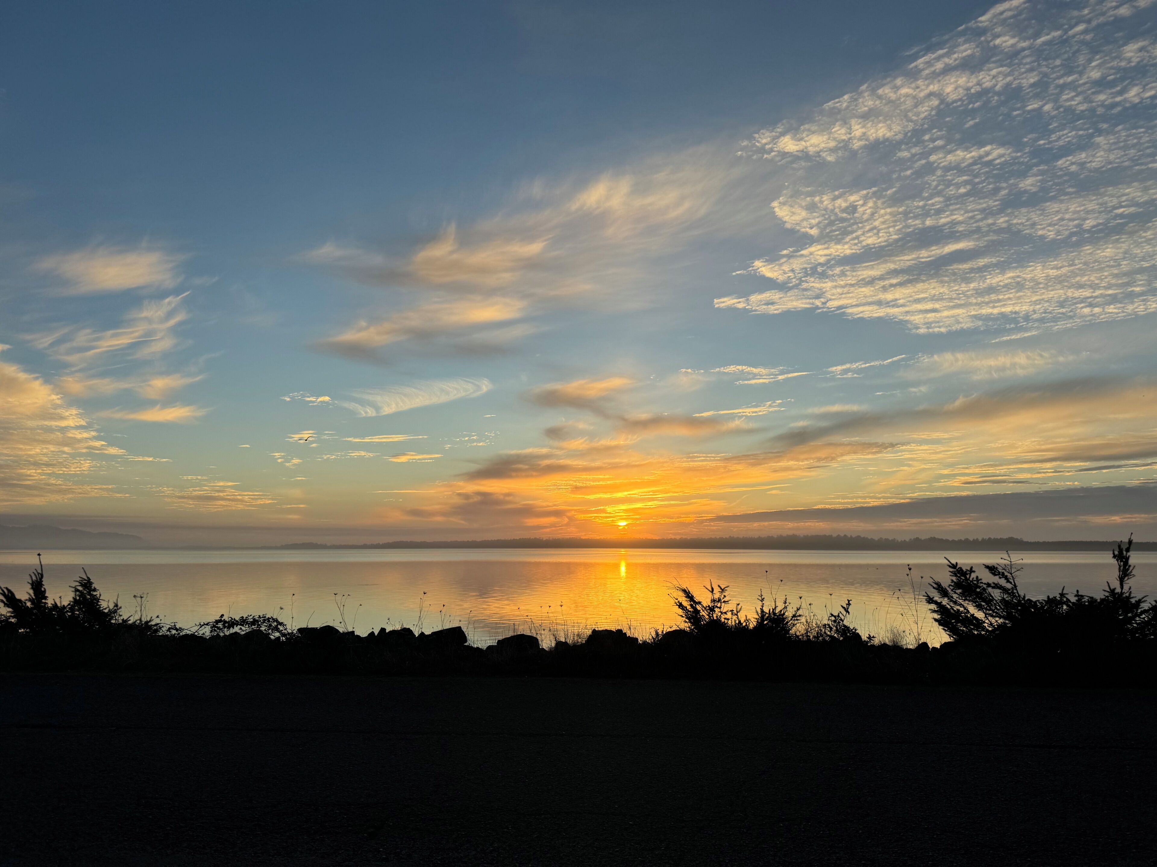 A sunset over a calm lake with silhouettes of trees and a clear sky.