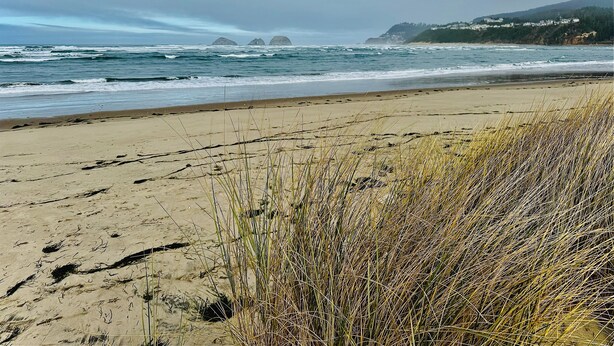 Ein Strand mit Sand, Gras und Wellen.