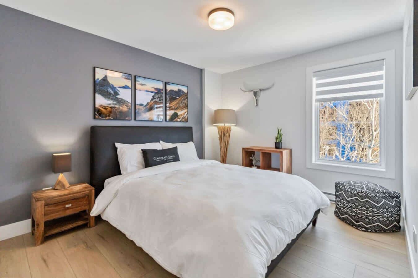 Iron/ironing board, internet