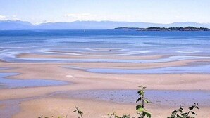A beach with calm waters and distant mountains. - Beach Daze! Peaceful Retreat Near Rathtrevor Beaches (Parksville)