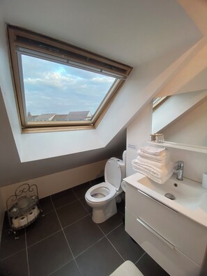 Shower, hair dryer, towels, soap - All accommodations within 24 hours (Le Mans)