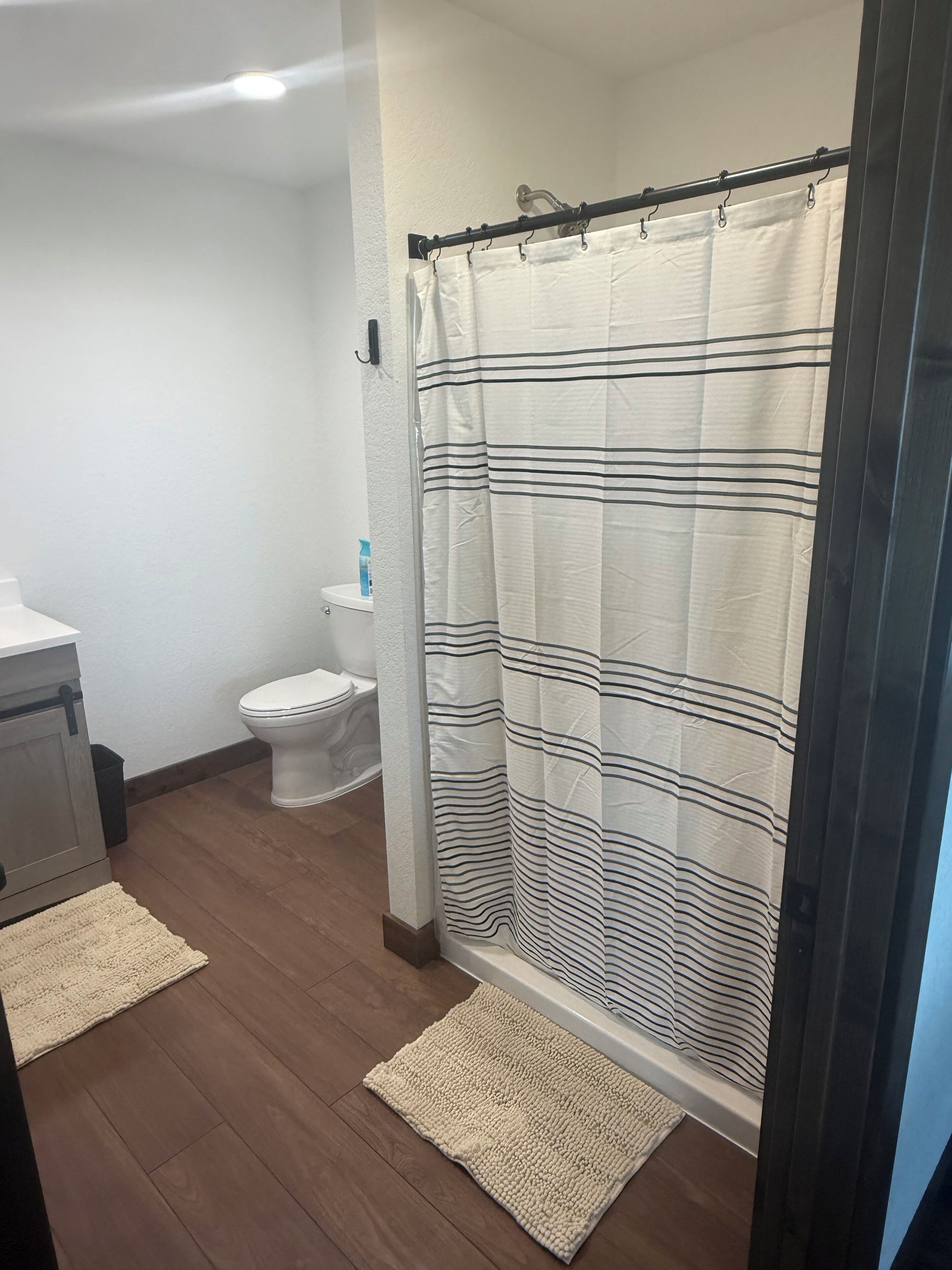 Shower, towels, soap, toilet paper