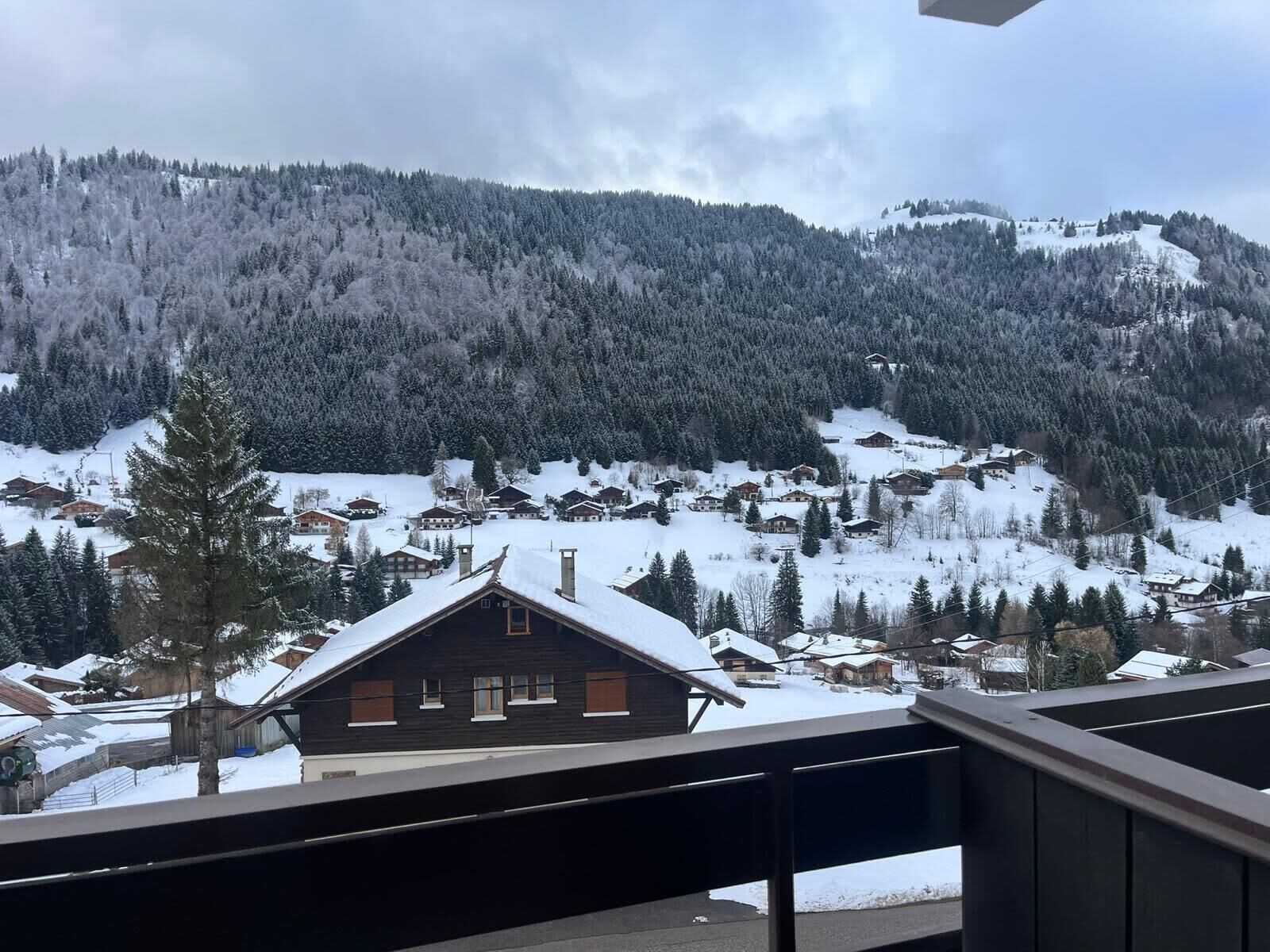 Terrain de l’hébergement 