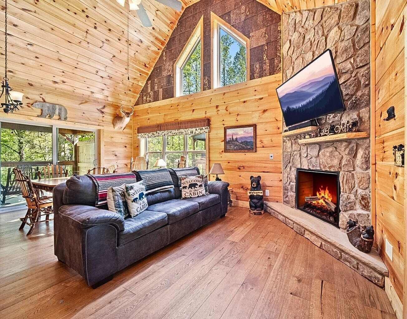 Televisión, chimenea y videojuegos 