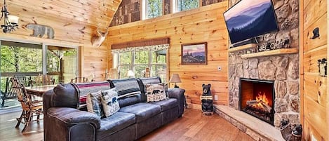 Télévision, cheminée, jeux vidéo