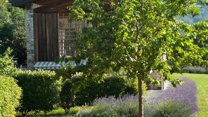 A rustic cabin with a stone wall, surrounded by lush greenery and lavender fields. - Villa 'Agriturismo Casa Del Castagneto' with Lake View, Private Terrace & Wi-Fi (Gargnano)
