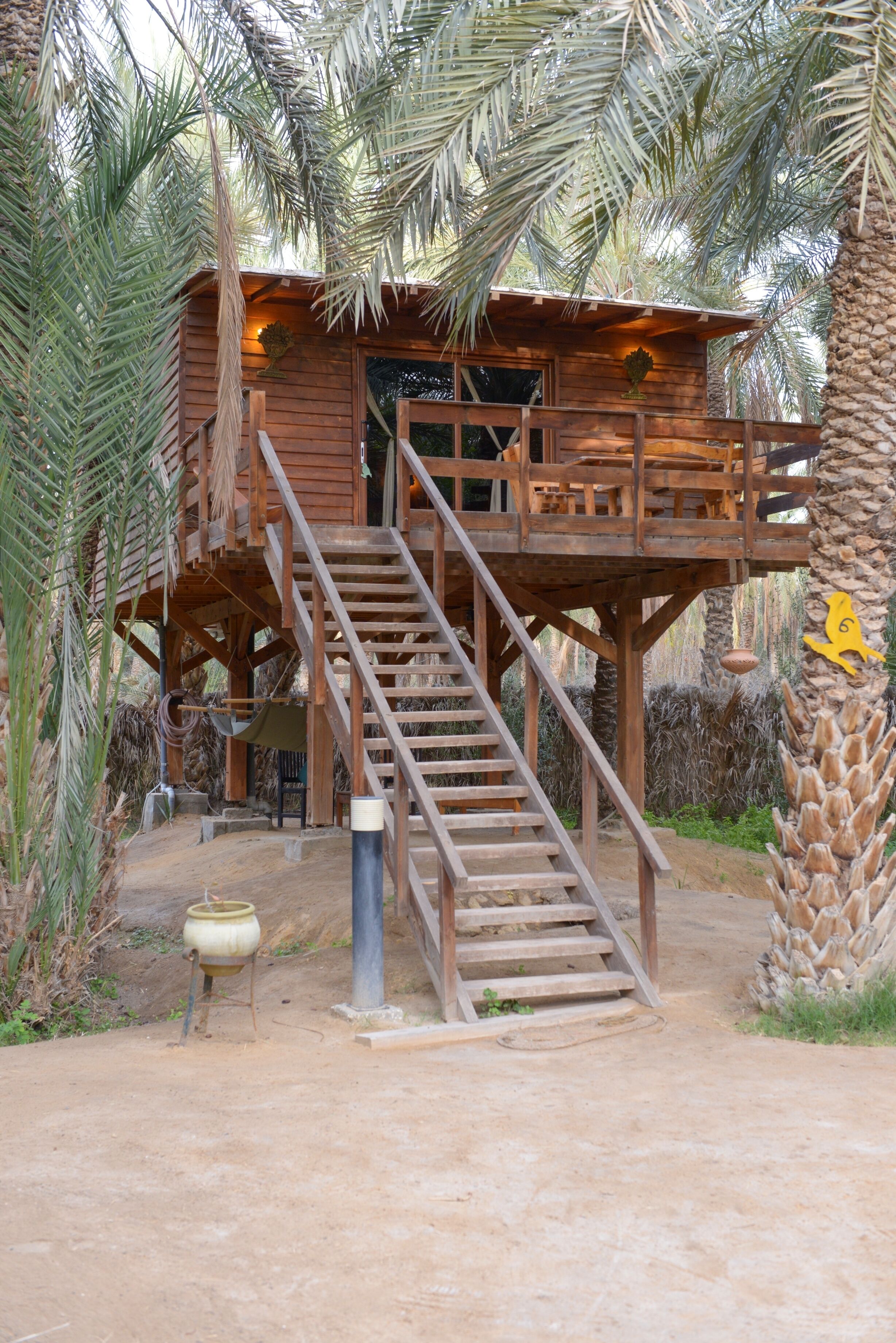 Una cabaña de madera con una escalera que sube a una terraza, rodeada de palmeras.