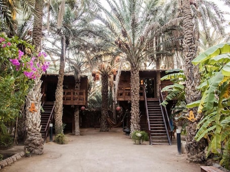 Exterior. Diar Abou Habibi Tozeur