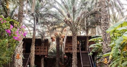 Diar Abou Habibi Tozeur