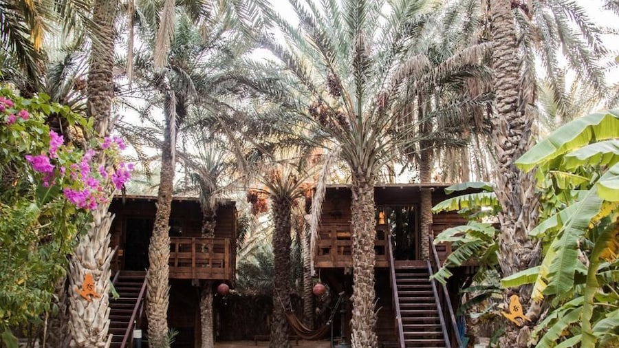 Diar Abou Habibi Tozeur