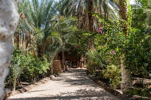 View from room - Diar Abou Habibi Tozeur (Tozeur)