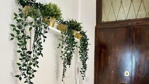 A dark wooden door with a glass panel and a white wall with a plant shelf and a white switchboard. - Vacanze Romane Suite 7 Languages (Rome)
