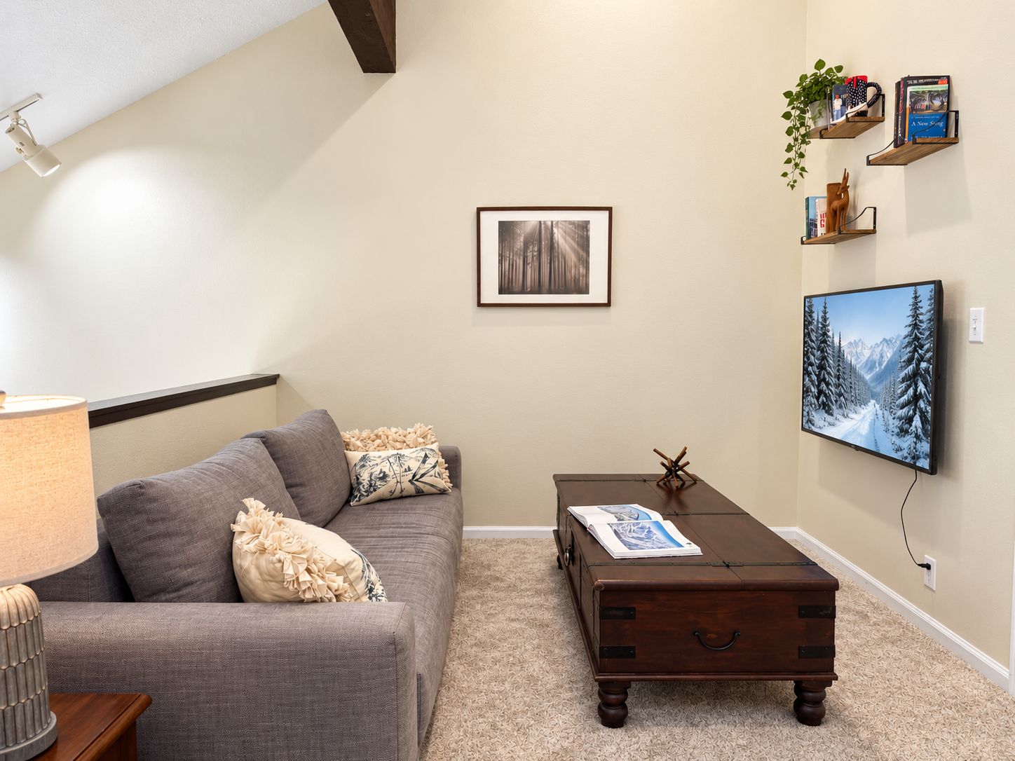 A living room with a sofa, a coffee table, a TV, and a framed picture on the wall.