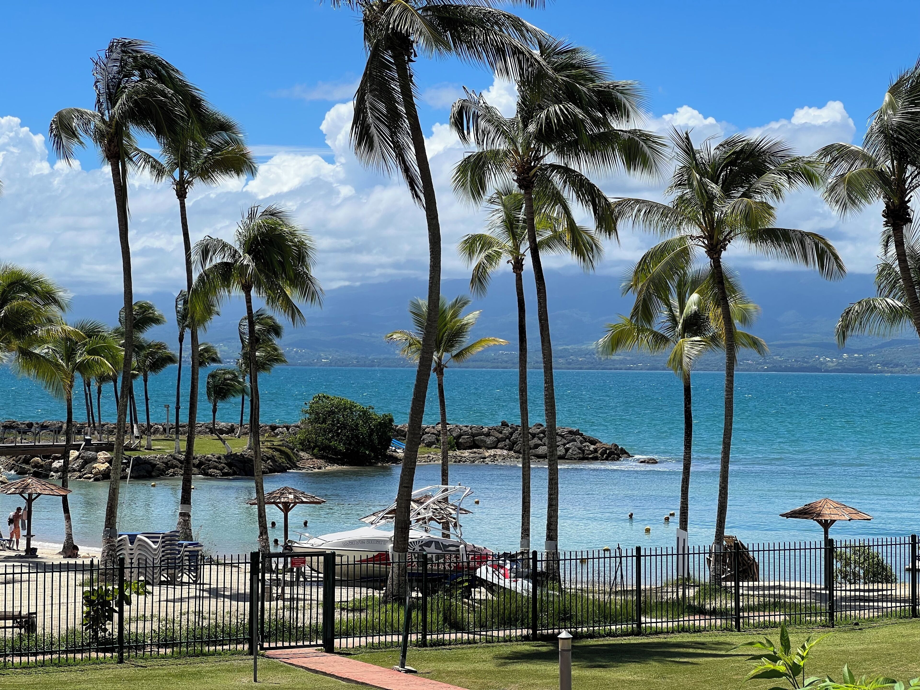 A beach view with palm trees, a pool, and a fence.