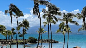 A beach view with palm trees, a pool, and a fence. - Apartment with sea and pool view (Le Gosier)