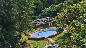 Una piscina de diseño curvo, rodeada de césped y diversas plantas.