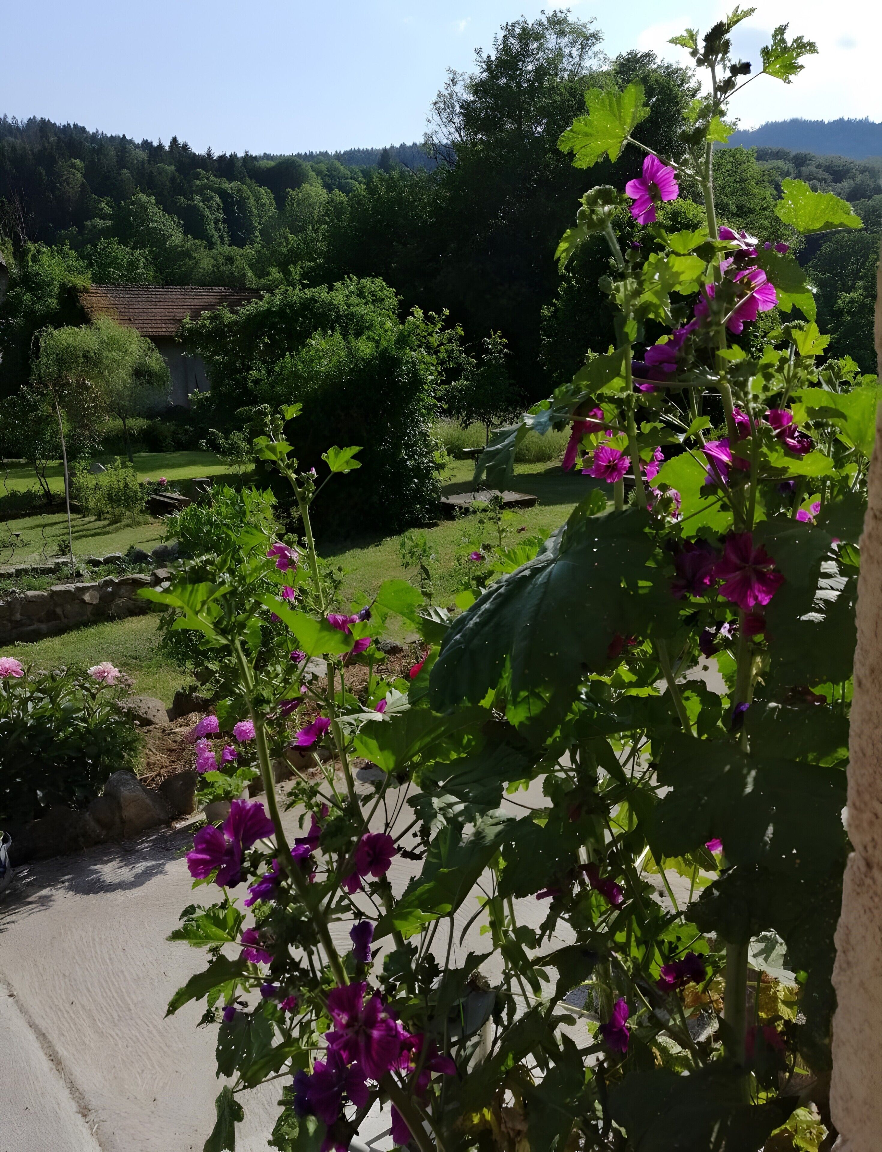 Enceinte de l’hébergement