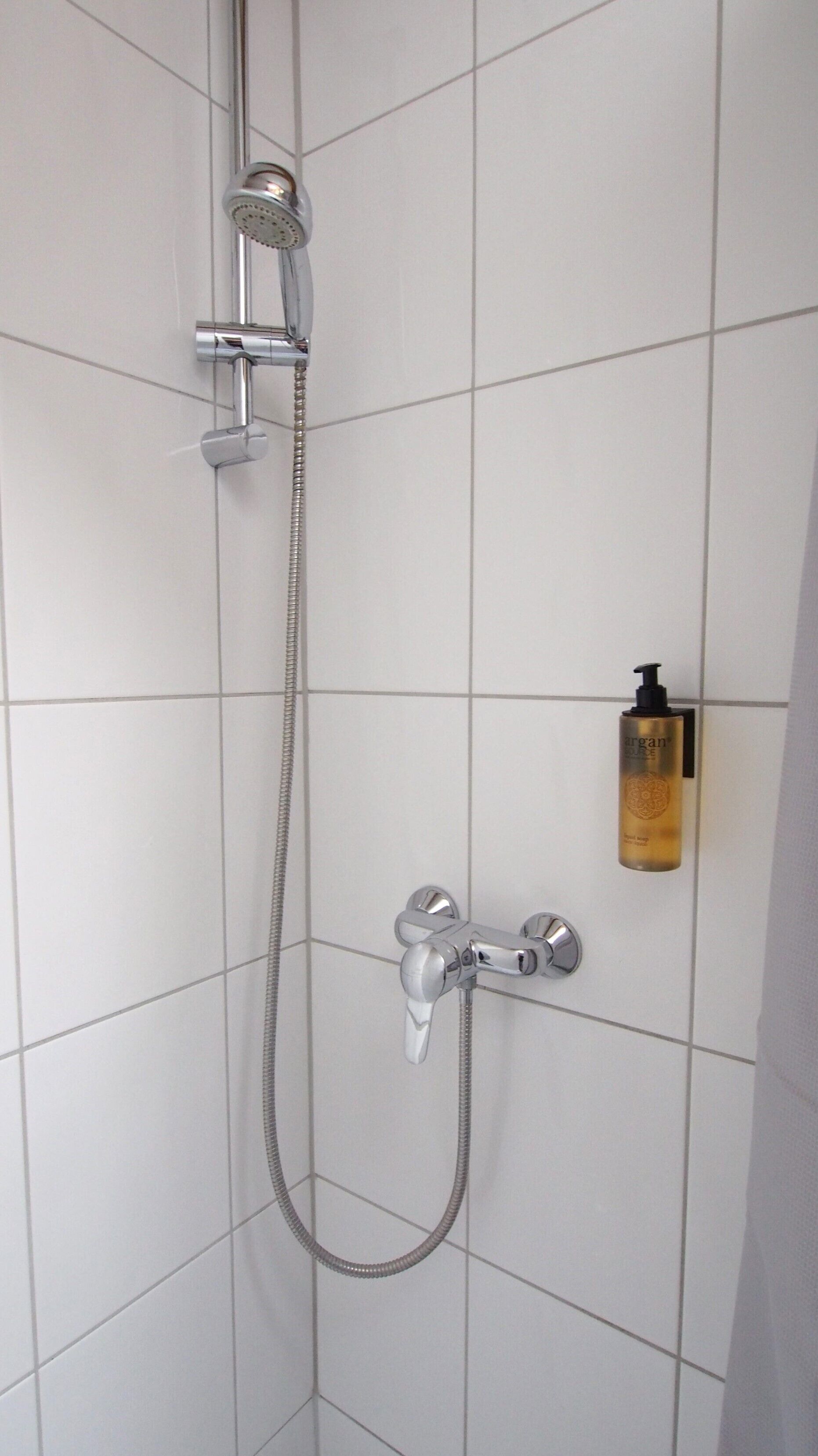 A shower with a handheld showerhead and a wall-mounted faucet.