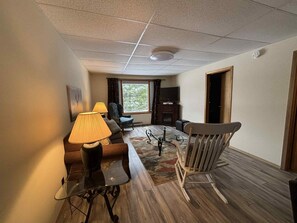 تلفزيون، مشغل دي في دي