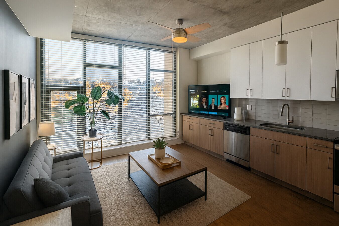 Télévision, écrans d'ordinateur