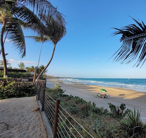 Una playa con palmeras, una cerca y vista al océano.