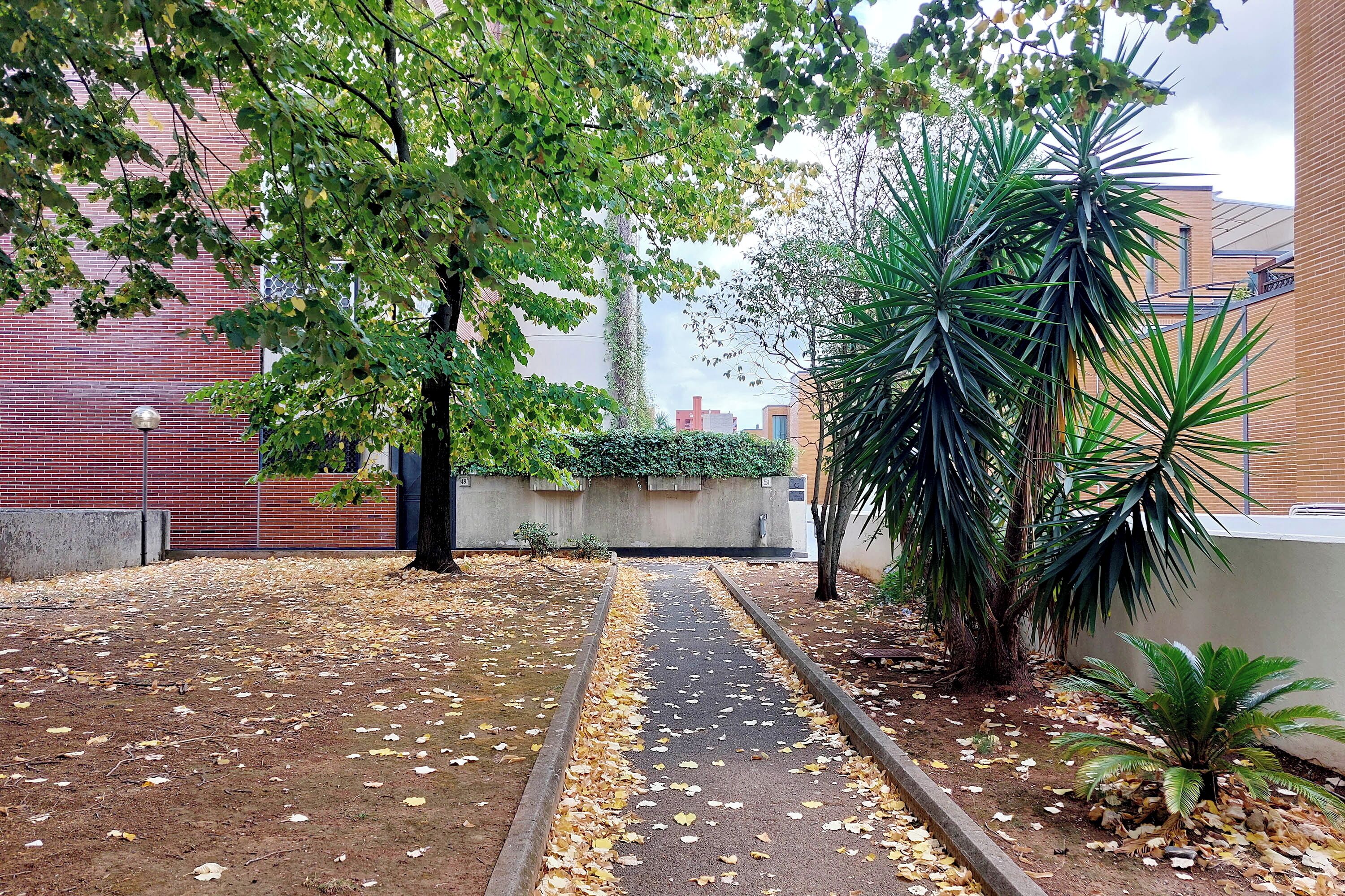 A paved pathway flanked by trees and plants, leading to a building with a brick facade.
