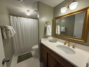 Hair dryer, towels, soap, toilet paper - Cozy Pet-Friendly Apartment Near Downtown Athens (Athens)