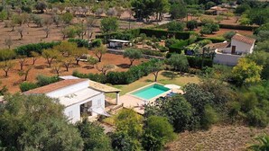 Vista aèria d'una zona residencial amb piscina, envoltada d'arbres i cases.