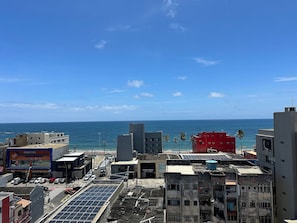 Basic Apartment | Miscellaneous