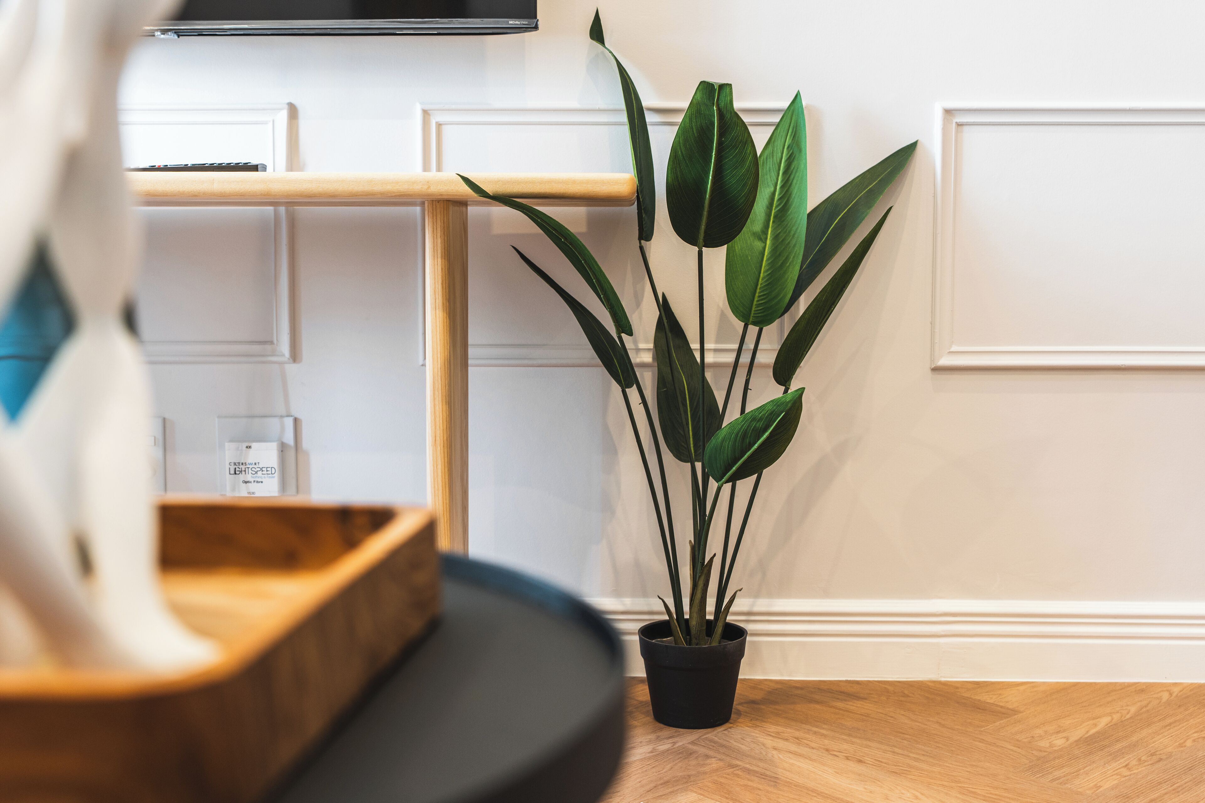 A potted plant in a room with a wooden floor, white walls, and a shelf with a box labeled "CREAMAT LIGHTSPEED".