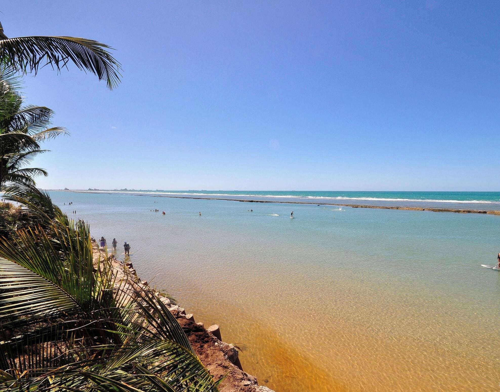 Uma praia com águas cristalinas, palmeiras e uma faixa de areia.
