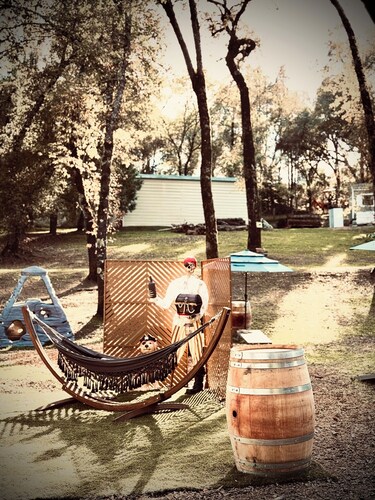 Pleasant Valley Creekside Glamping, Pet Friendly