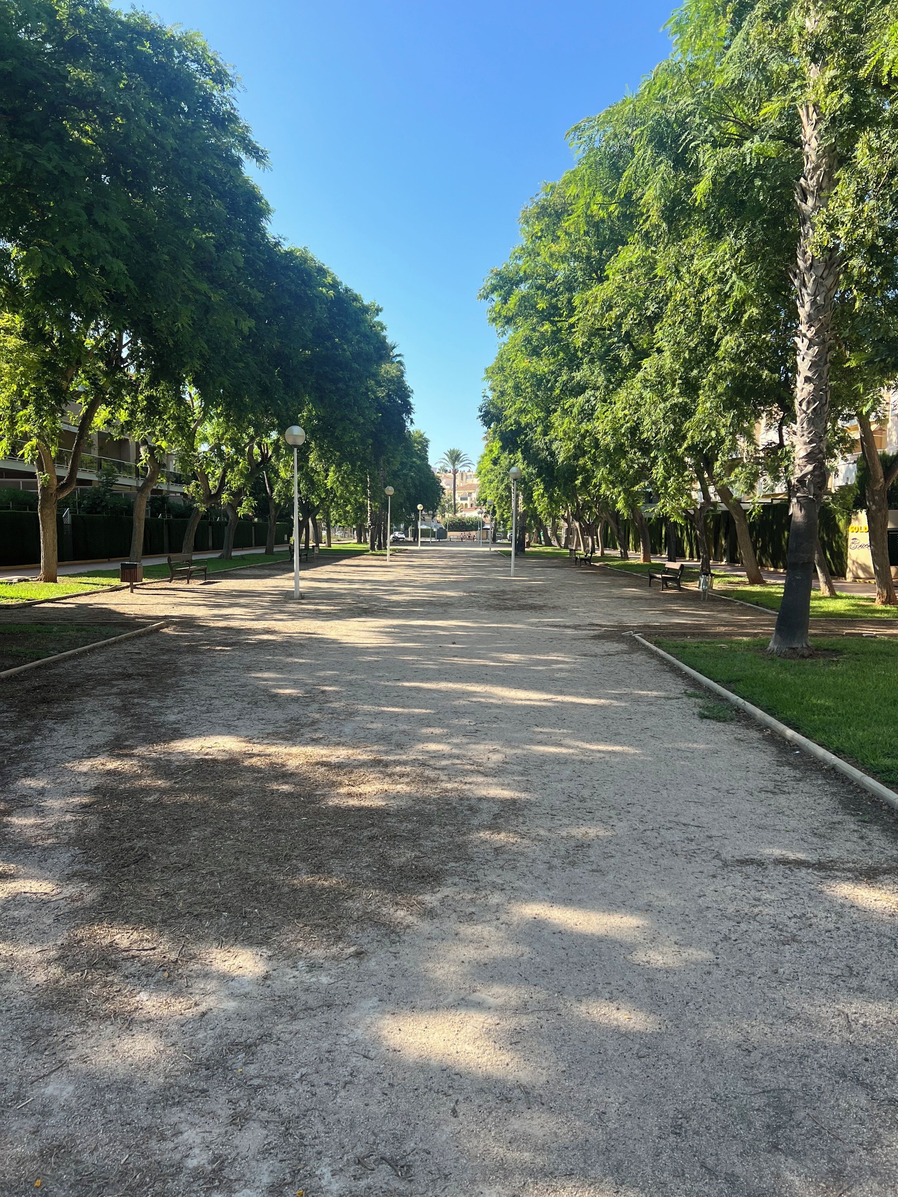 Un sentier bordé d’arbres et de bancs, qui traverse un parc et mène à un bâtiment situé au loin.