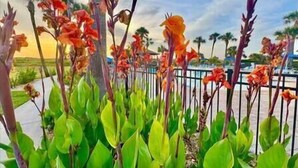A garden with tall plants and a fence. - Sandy Sea Turtle Pet-Friendly Condo w/ Ocean Views (St. Augustine Beach)