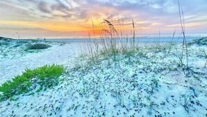 Beach - Sandy Sea Turtle Pet-Friendly Condo w/ Ocean Views (St. Augustine Beach)