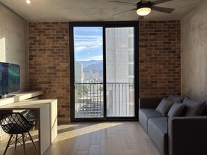 TV, fireplace, offices