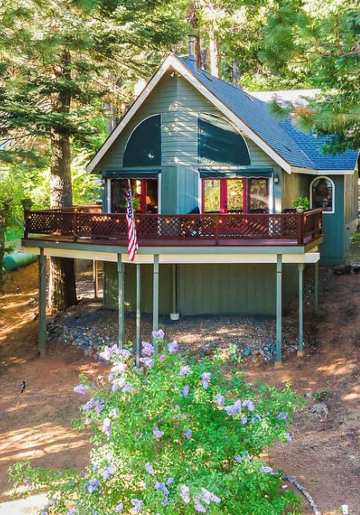 Image de profil de l’hôte