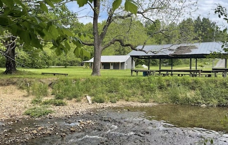 Property grounds. WR's Saw Creek Cabin