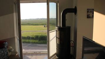 TV, fireplace, books