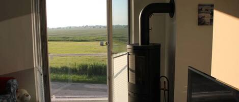 TV, fireplace, books