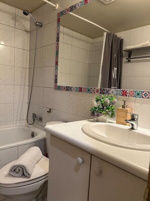 Hair dryer, towels, soap, toilet paper - Historic center of Santiago: steps away from La Moneda and the Metro | AC (Santiago)