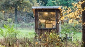 A wooden cabin with a large window, surrounded by dense foliage and trees.
