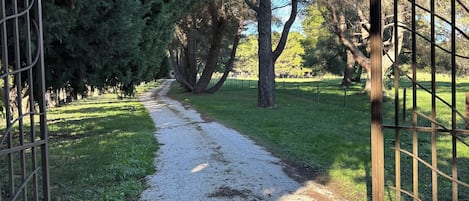 Jardines del alojamiento