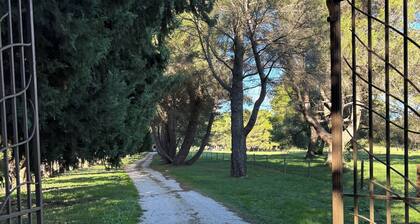 Gîte Camargue 63m², 4 pers. air-conditioned, Swimming pool, Mas de la Meunerie in Fontvieille