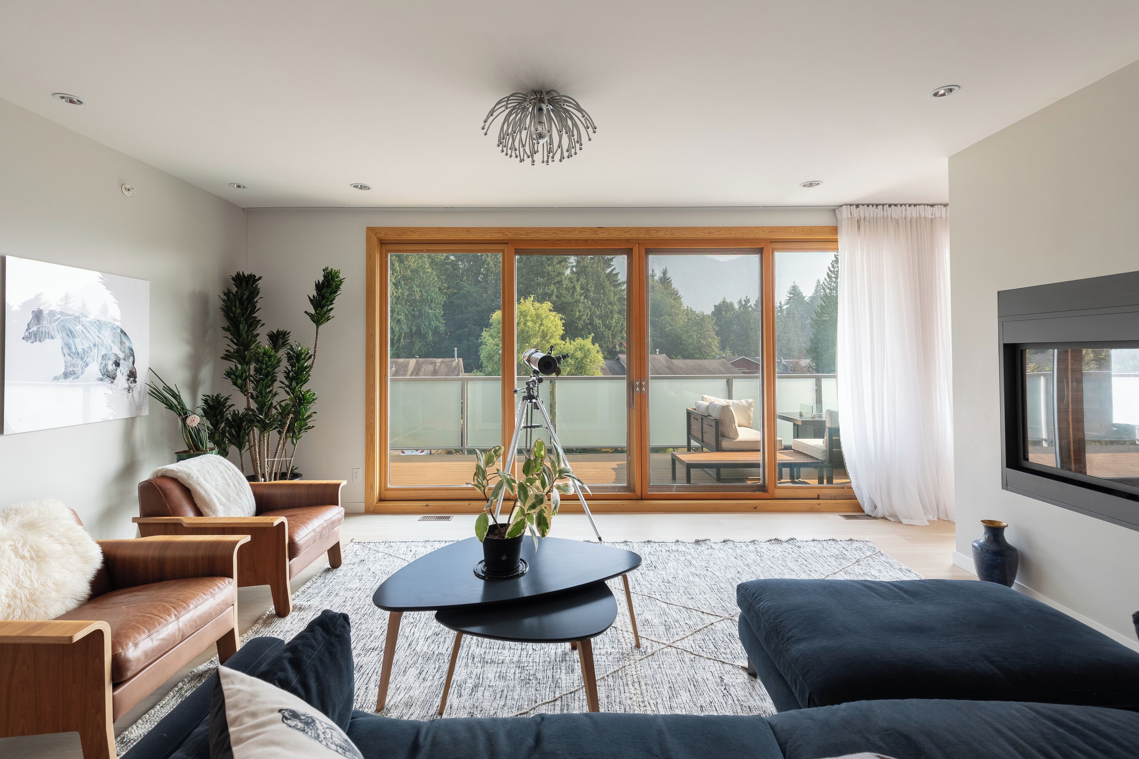 智能電視、壁爐、音響、電腦螢幕