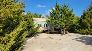 A single-story house with a light blue exterior, surrounded by dense evergreen trees. - Tiny home in Van Alstyne with easy access to Hwy 75 and exceptional privacy. (Van Alstyne)
